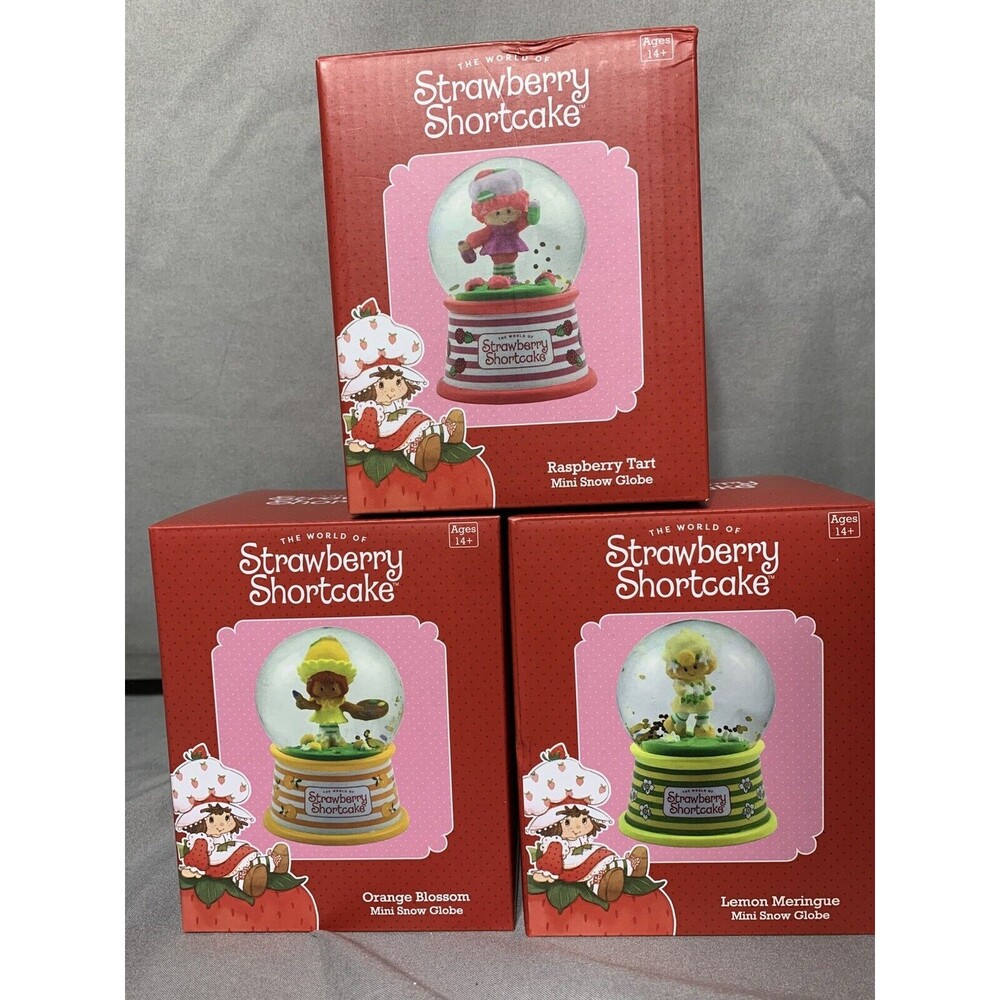 the world of strawberry shortcake Globe